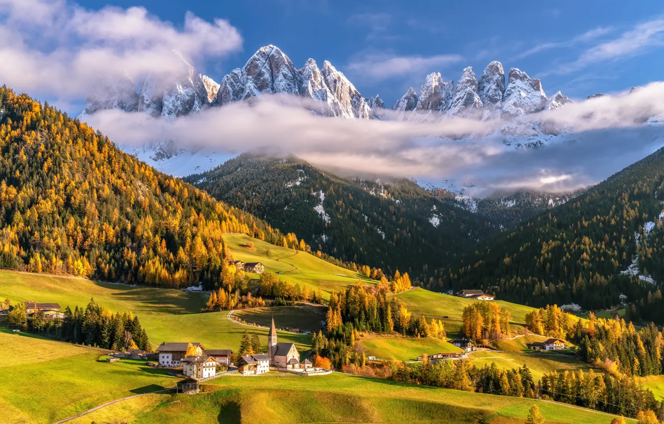 Photo wallpaper field, autumn, forest, clouds, light, snow, mountains, blue