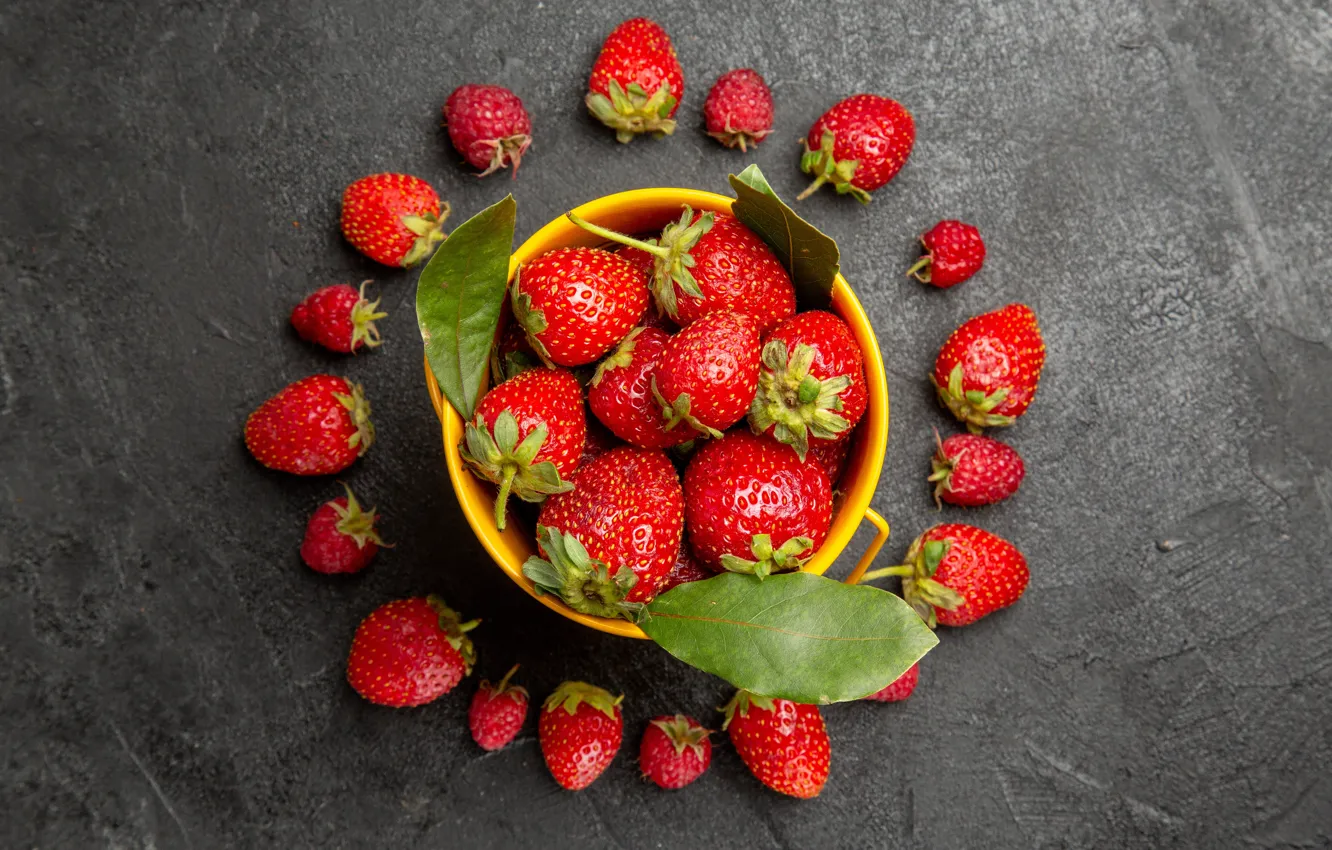 Photo wallpaper leaves, circles, berries, strawberry, bowl, grey background, composition, posted