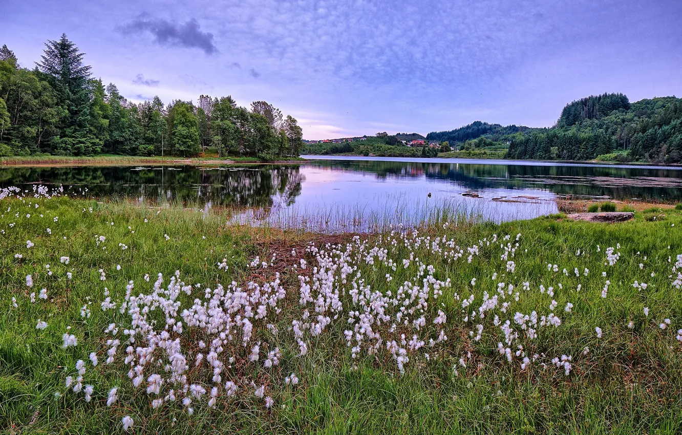 Photo wallpaper summer, lake, Norway