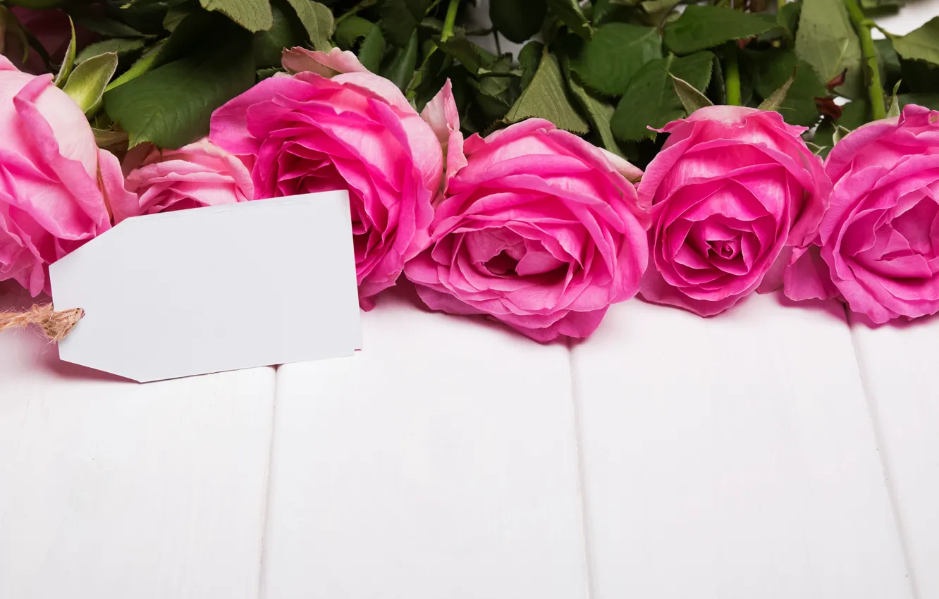 Photo wallpaper roses, love, pink, flowers, romantic, roses, pink roses