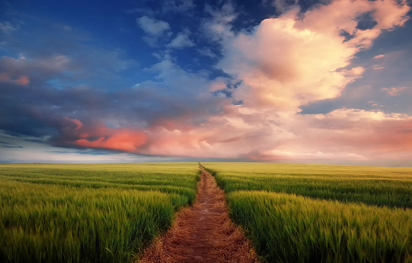Photo wallpaper field, the sky, trail