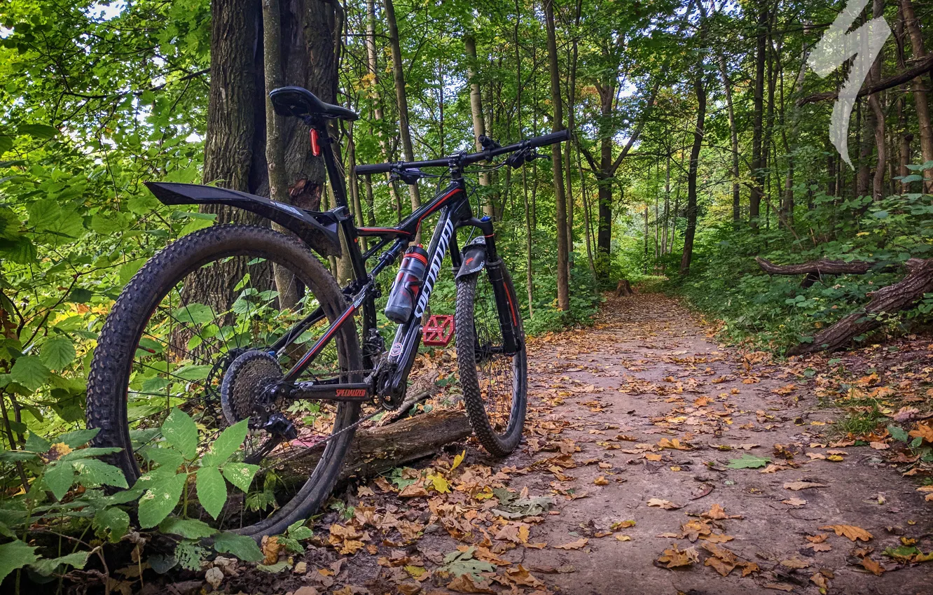 Photo wallpaper road, autumn, forest, leaves, bike, Park, sport, bike