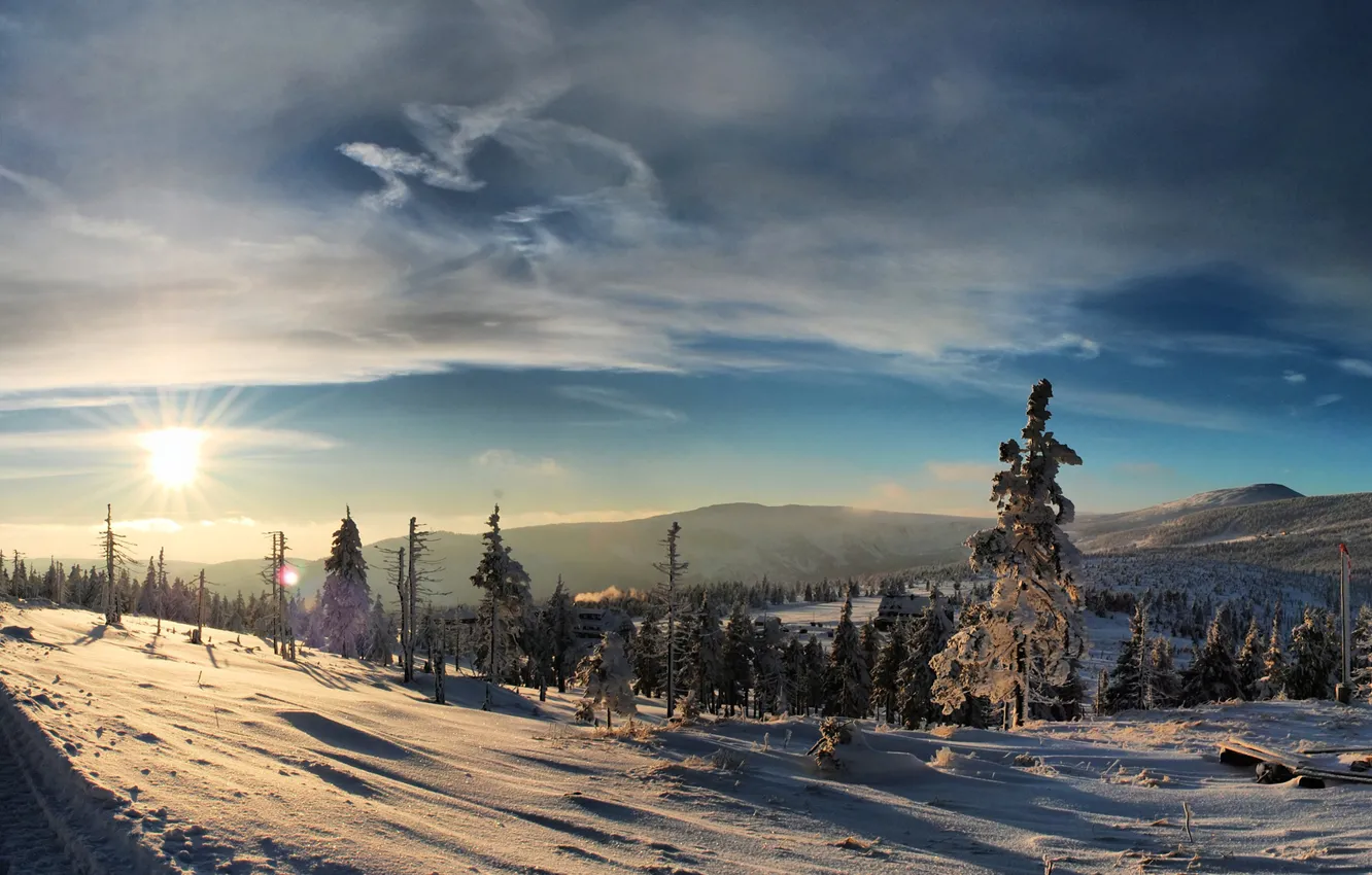 Photo wallpaper winter, forest, the sun, snow, sunset, mountains, frost
