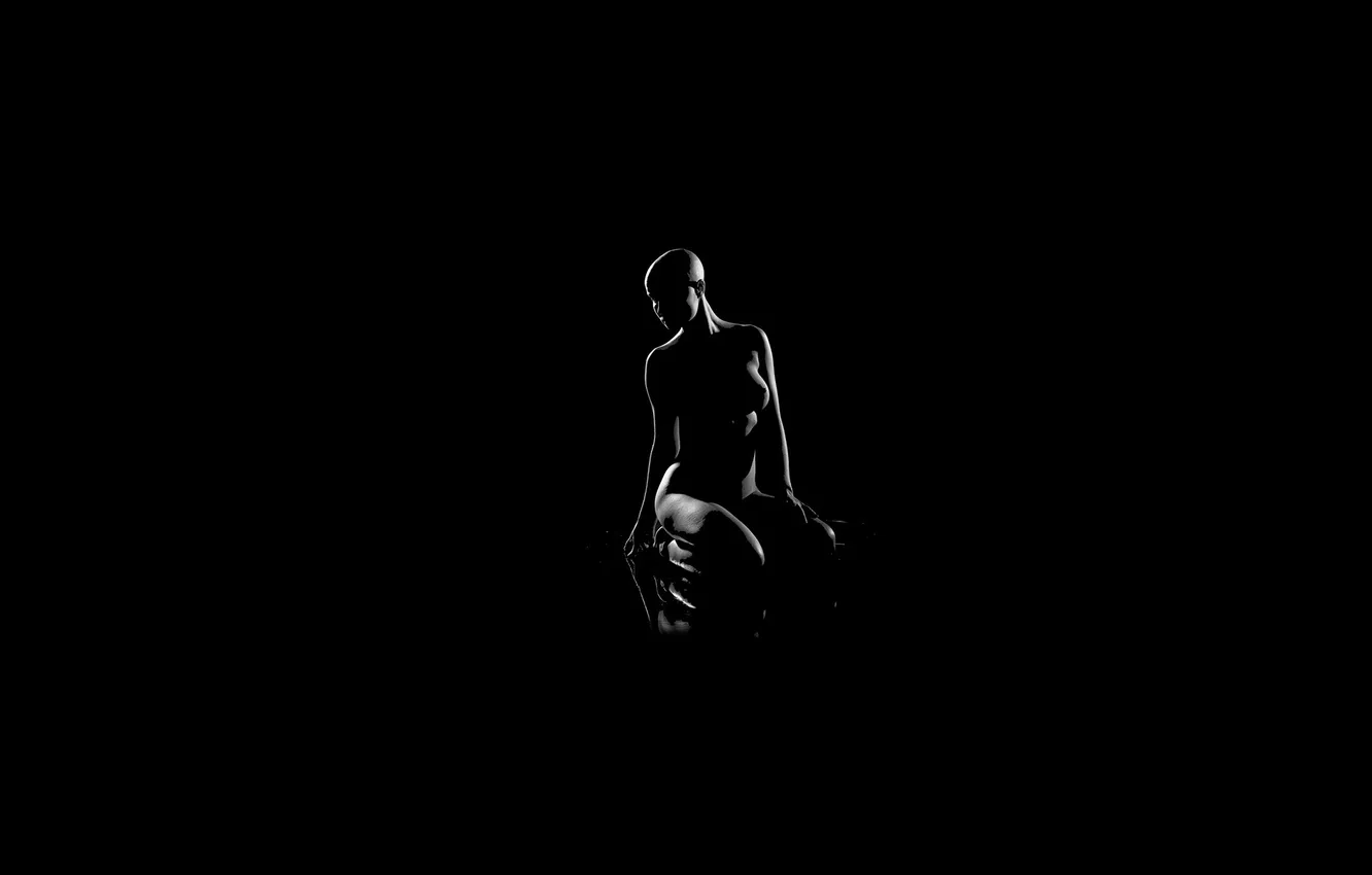 Photo wallpaper background, black, contour, lighting, silhouette