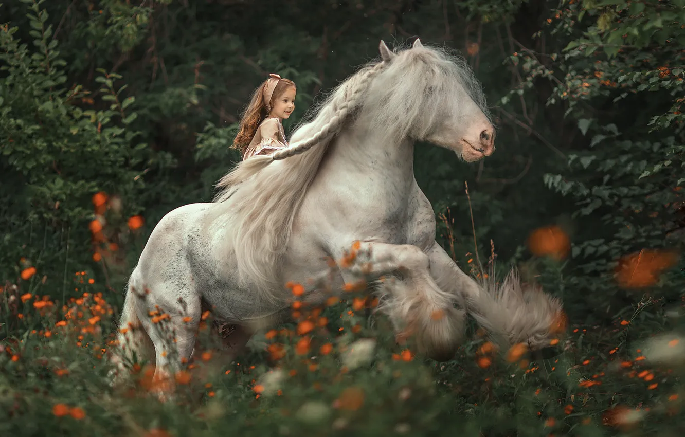 Photo wallpaper forest, flowers, horse, rider, mane, girl, rider