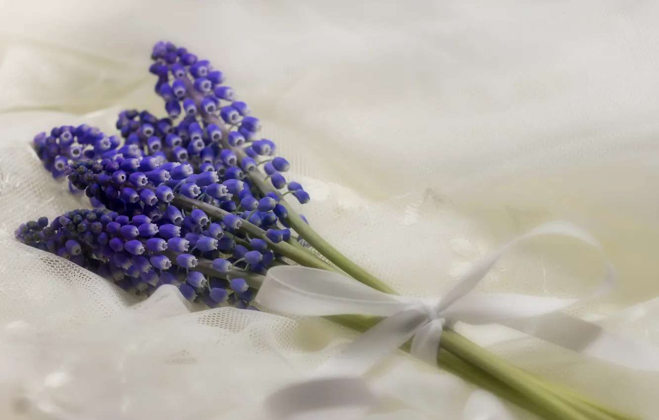 Photo wallpaper flowers, bouquet, tape, fabric, Muscari