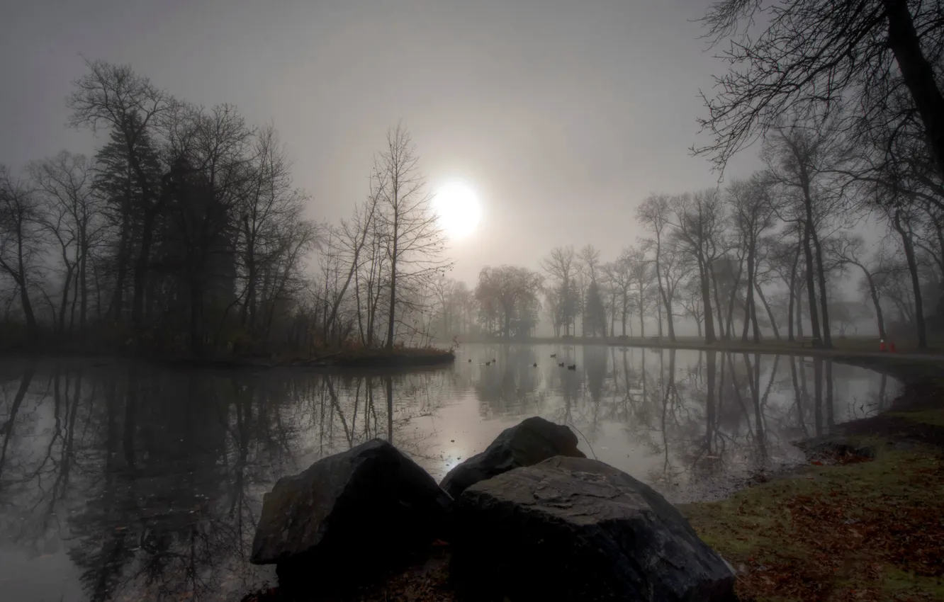 Photo wallpaper autumn, fog, pond, stone
