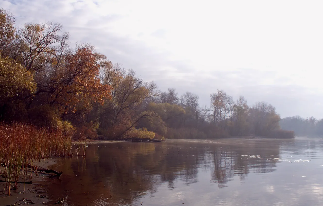 Photo wallpaper autumn, water, landscape, fog, river, foliage, morning, haze