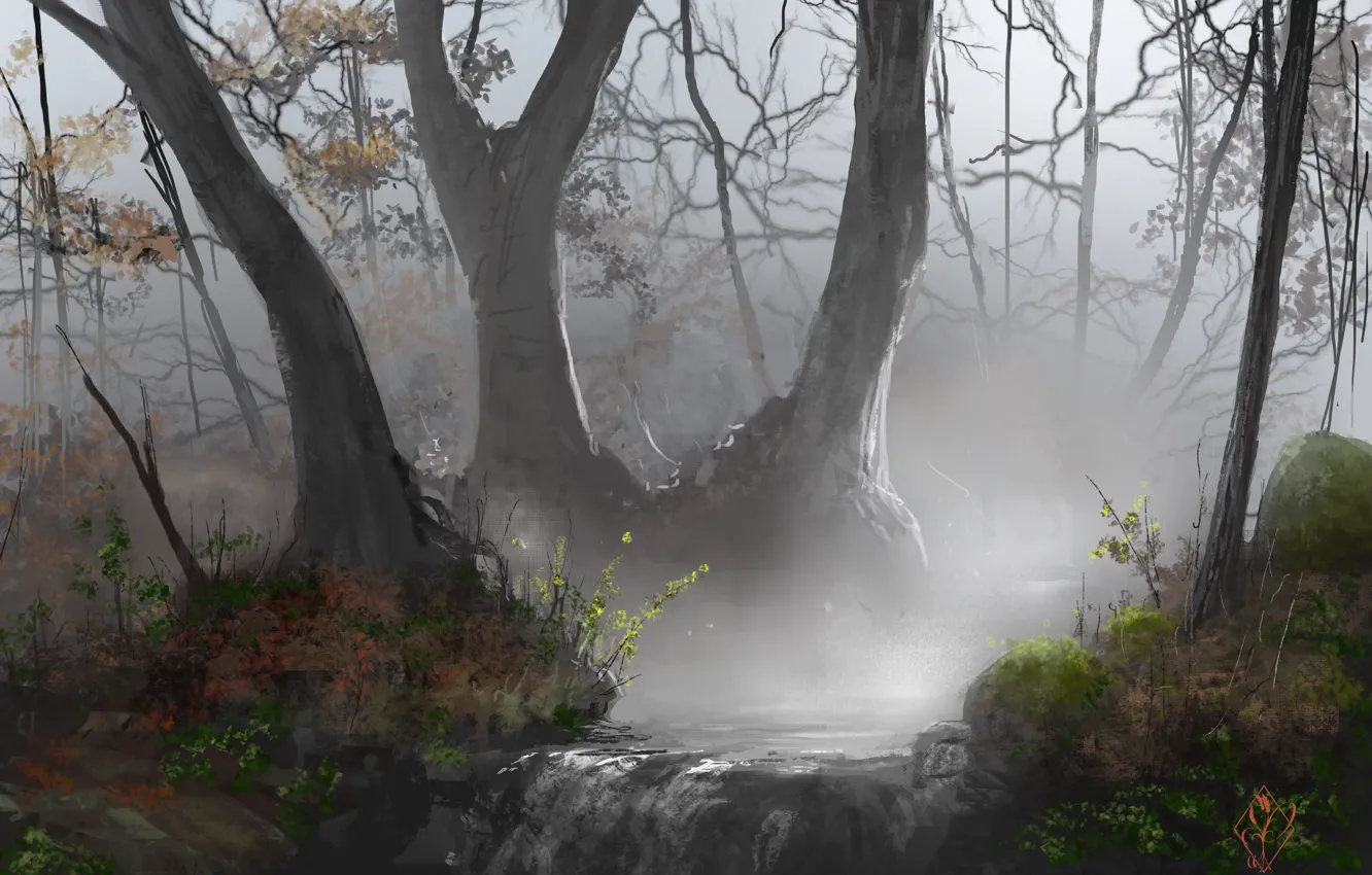 Photo wallpaper trees, nature, stream, waterfall