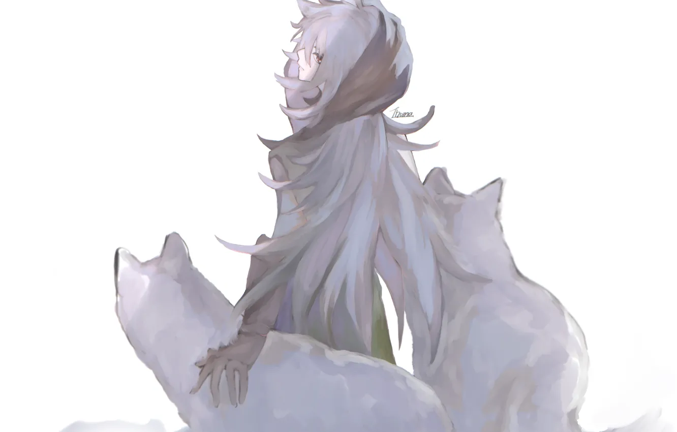 Photo wallpaper wolf, boy, Razor, Genshin Impact