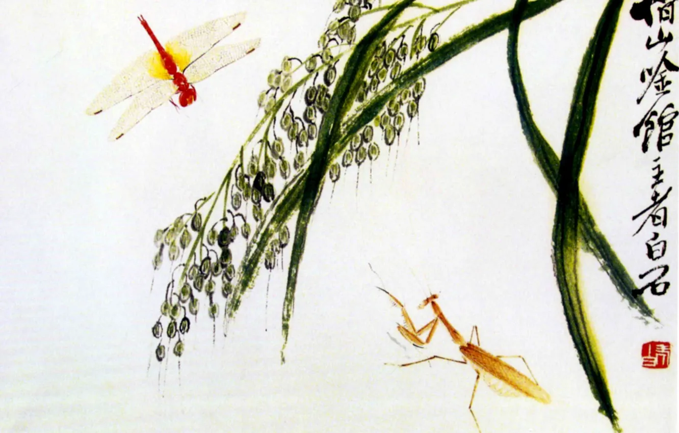 Photo wallpaper grass, mantis, dragonfly, white background, Chinese painting, Keep qi-xi