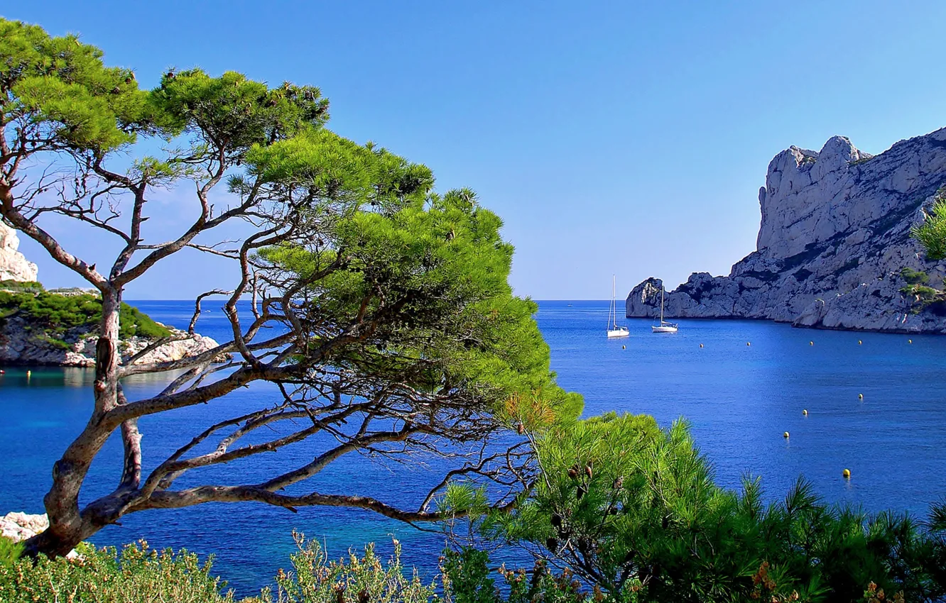 Photo wallpaper sea, trees, rocks, France, home, Bay, yacht, Bay