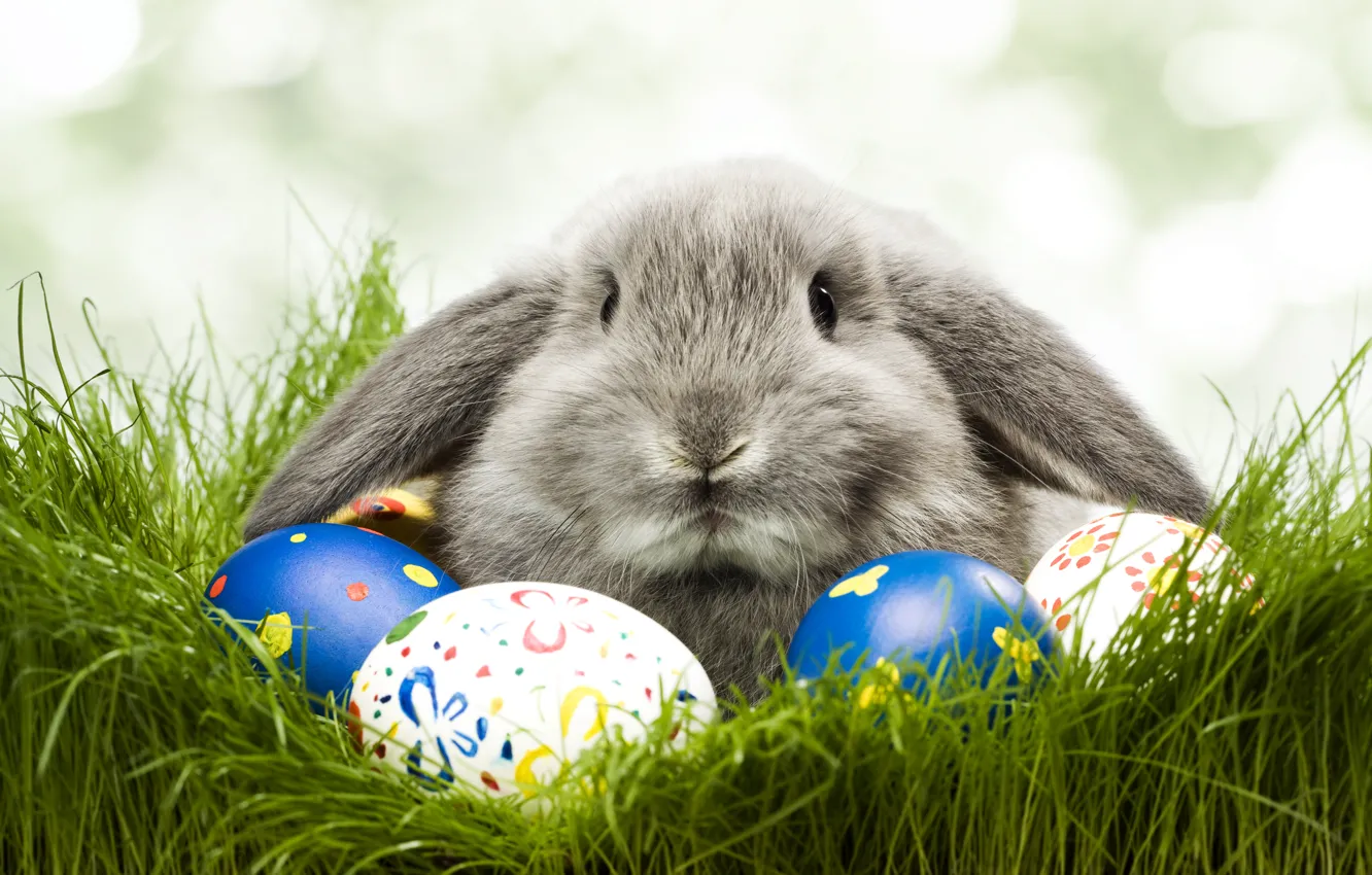 Photo wallpaper eggs, rabbit, Easter