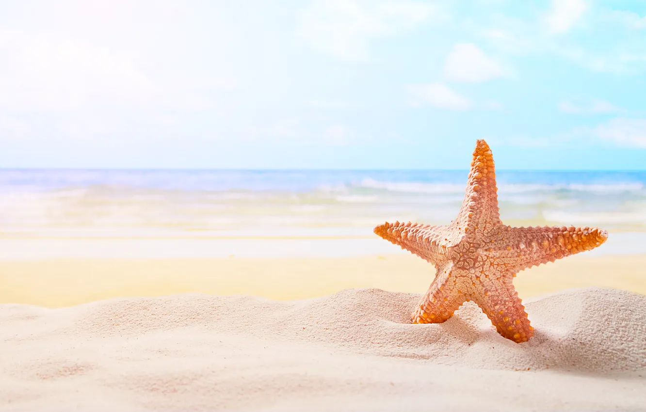 Photo wallpaper sand, sea, beach, the sky, shore, surf, starfish, light background