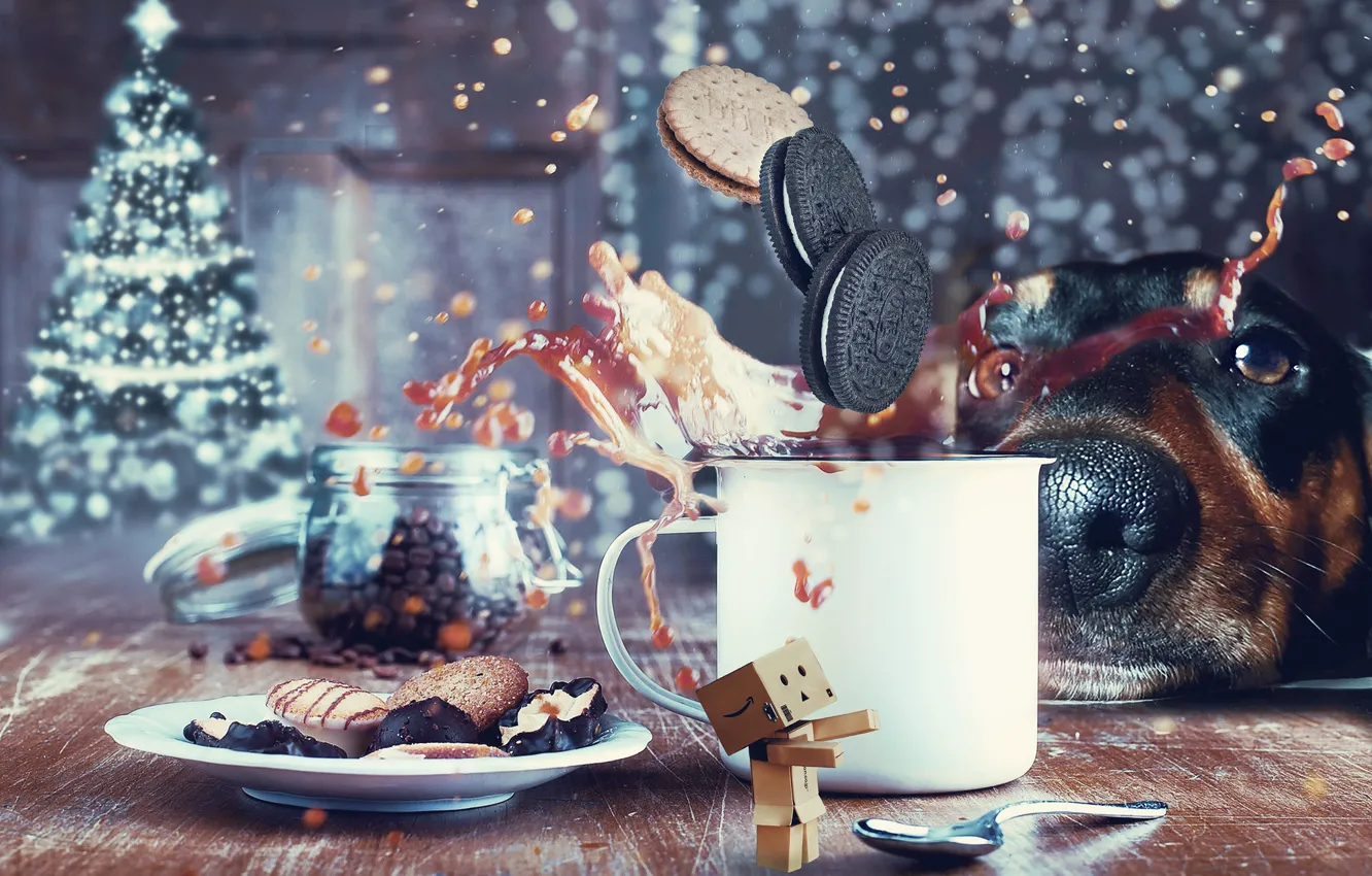 Photo wallpaper look, face, flight, squirt, table, room, holiday, magic