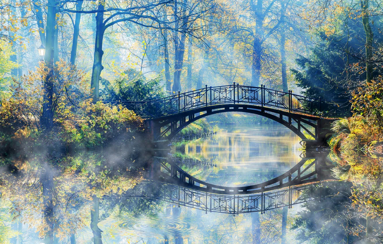 Photo wallpaper Nature, Bridge, Fog, Autumn, River, Park