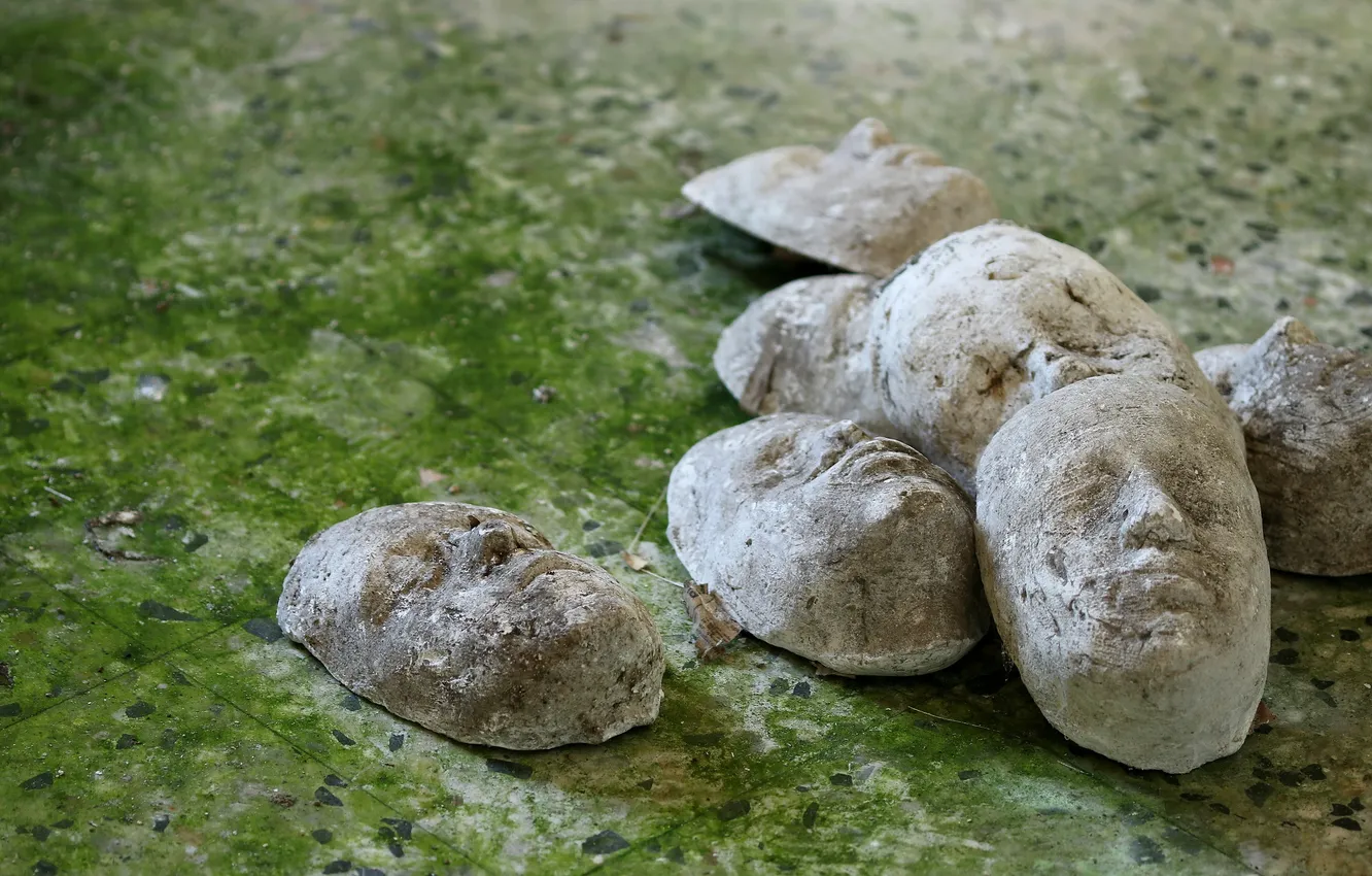 Photo wallpaper moss, mask, floor