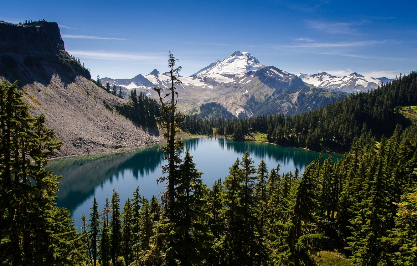 Photo wallpaper forest, trees, mountains, nature, lake