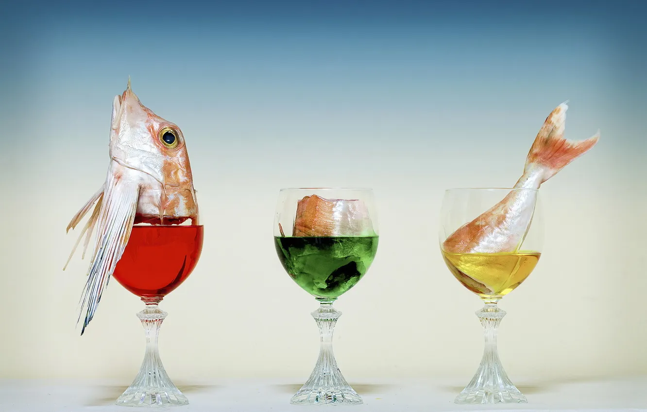 Photo wallpaper background, glass, fish