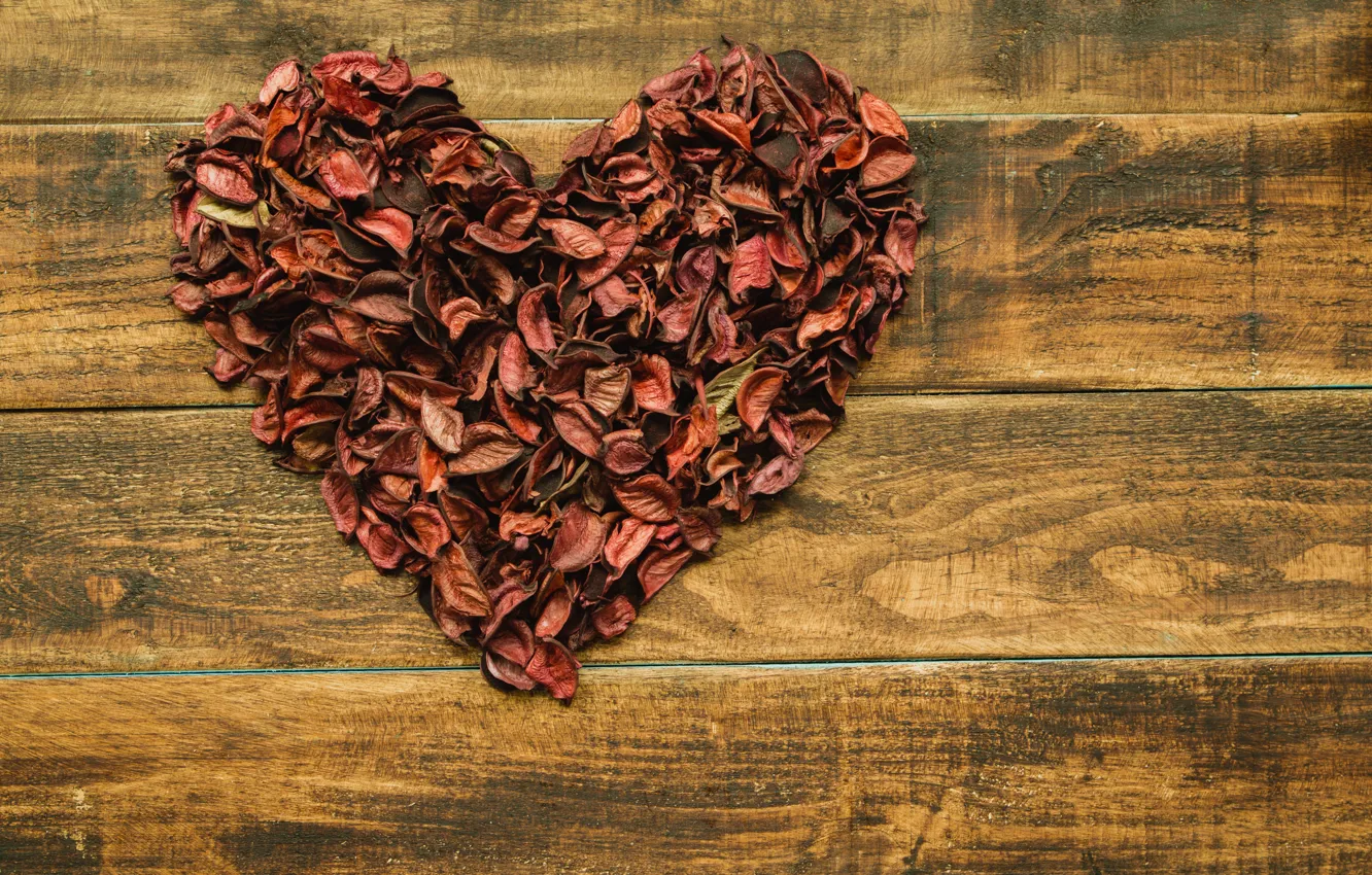 Photo wallpaper trees, background, heart, texture, petals