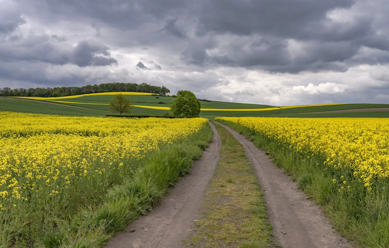 Photo wallpaper road, field, Germany