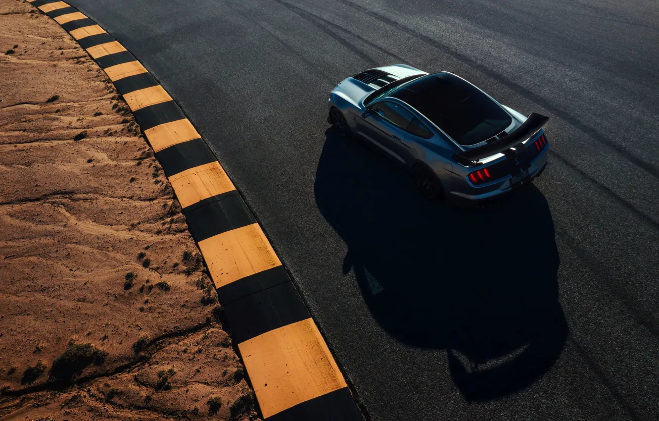 Photo wallpaper asphalt, Mustang, Ford, Shelby, GT500, 2019, gray-silver