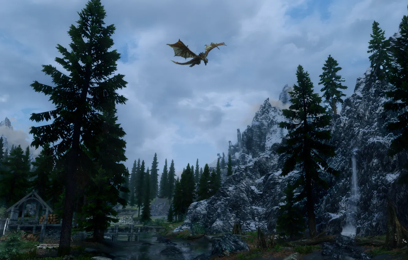 Photo wallpaper game, landscape, village, dragon, Skyrim