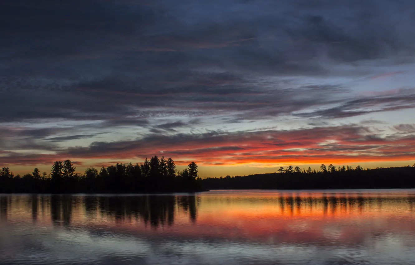Photo wallpaper forest, sunset, lake