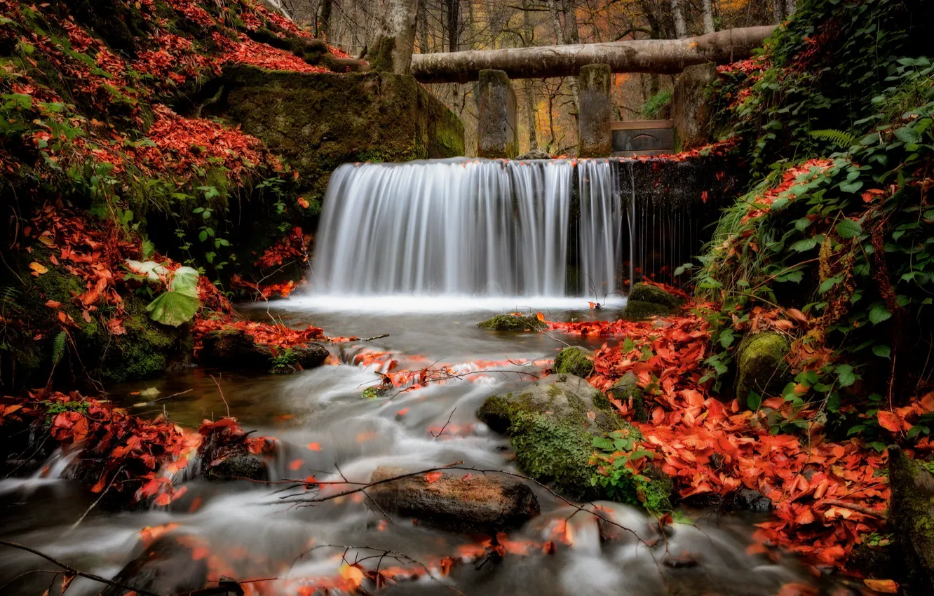Photo wallpaper autumn, rocks, foliage, waterfall