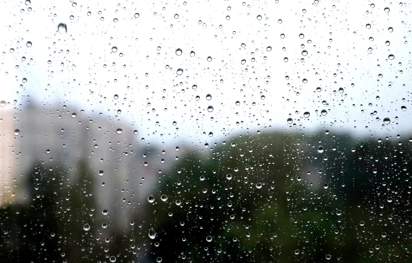 Photo wallpaper summer, nature, rain, spring, window, may, captcha