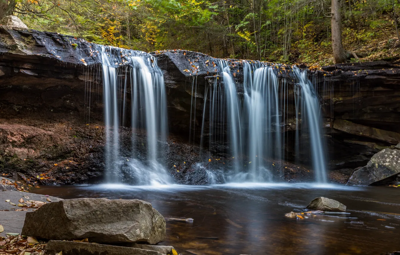 Photo wallpaper forest, nature, rocks, shore, waterfall, stream