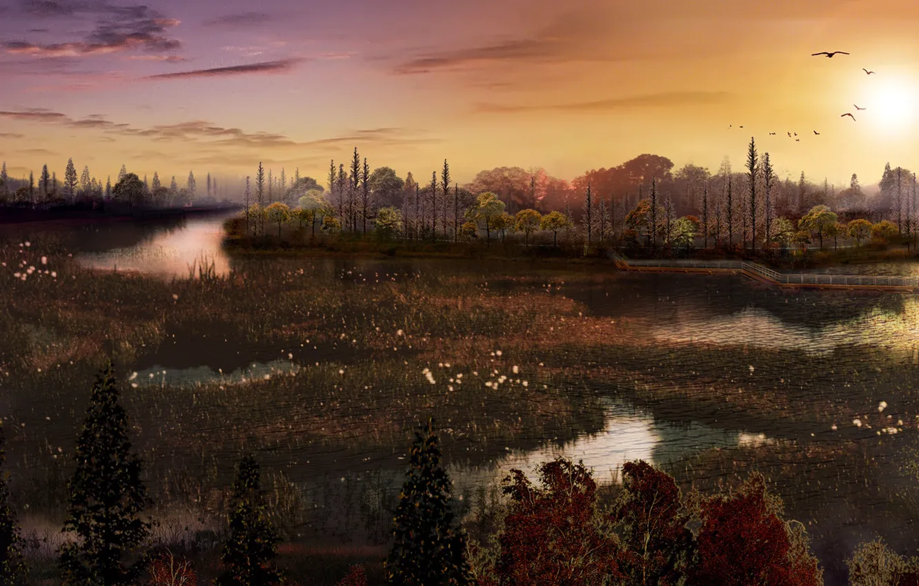 Photo wallpaper sunset, nature, pond, bird, the evening, the bridge