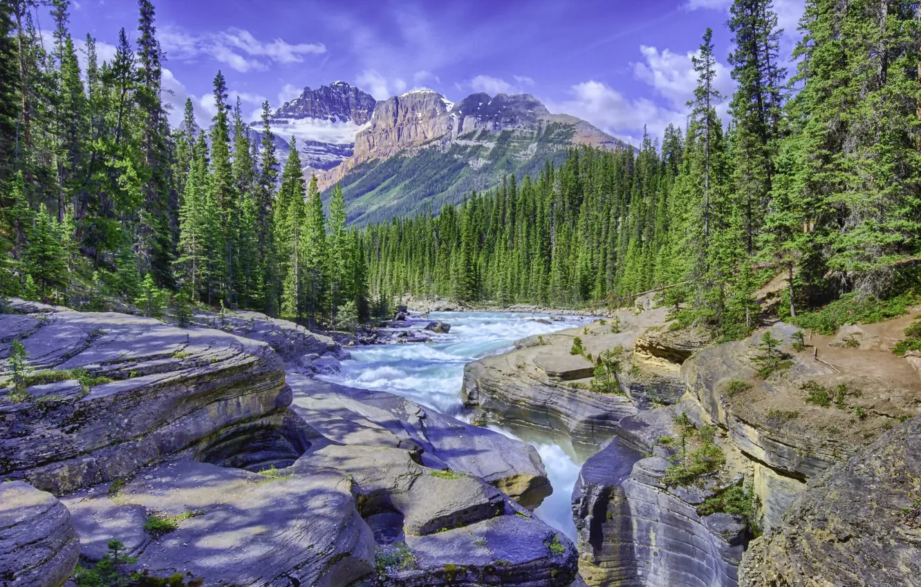 Photo wallpaper forest, the sky, mountains, river, day