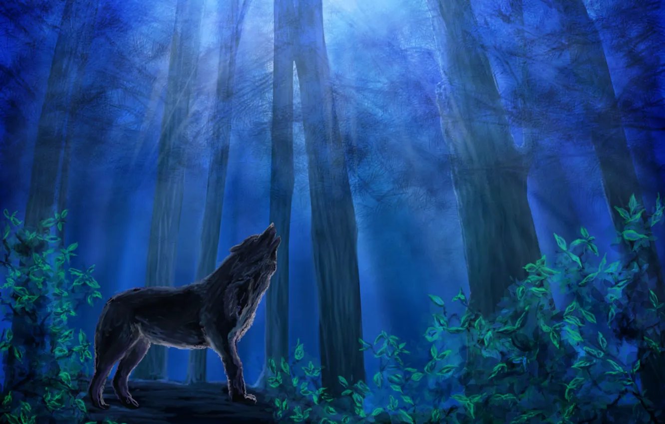 Photo wallpaper forest, the sky, leaves, trees, night, animal, wolf, predator