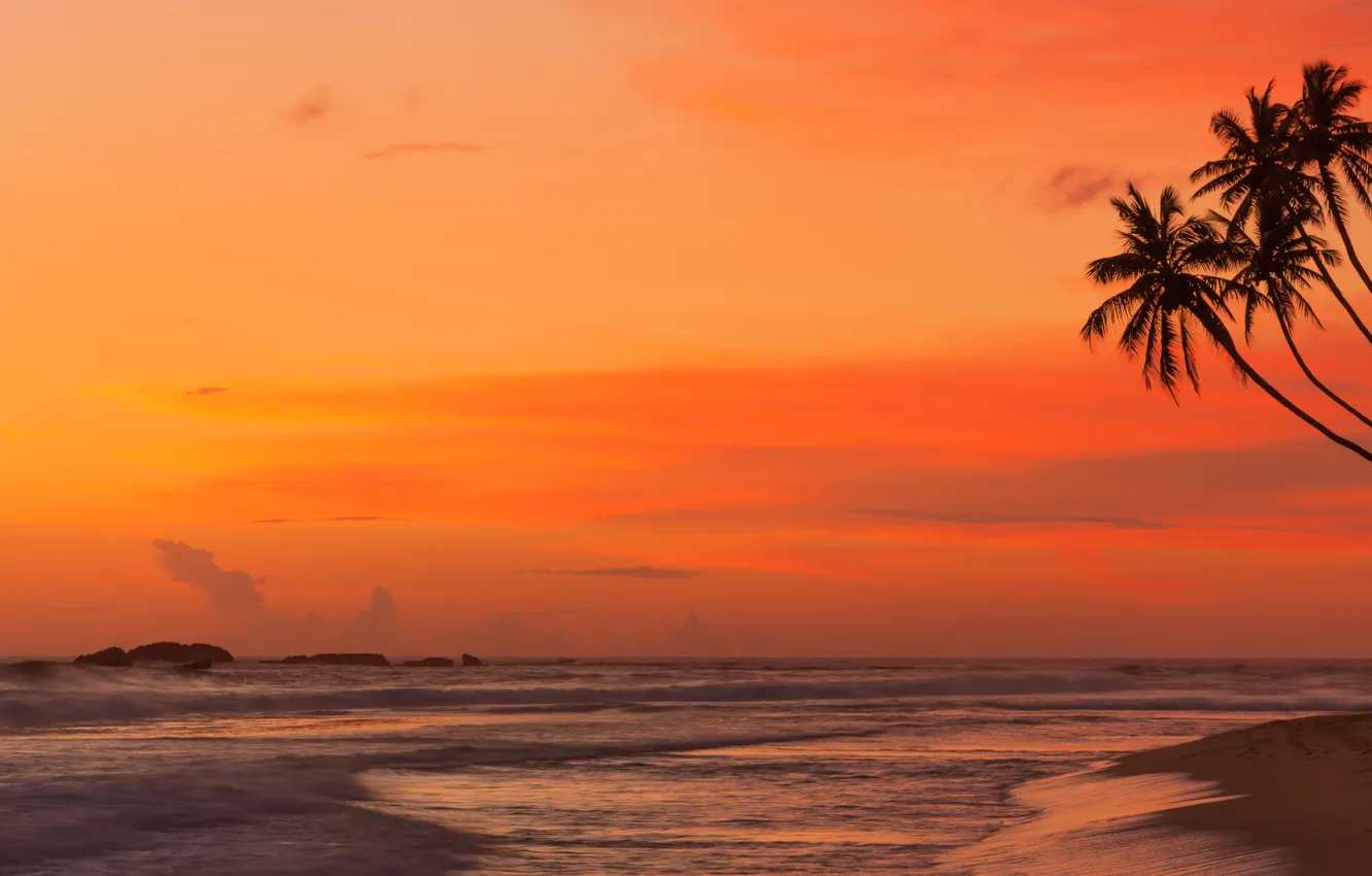 Photo wallpaper sand, sea, beach, sunset, palm trees, shore, beach, sea