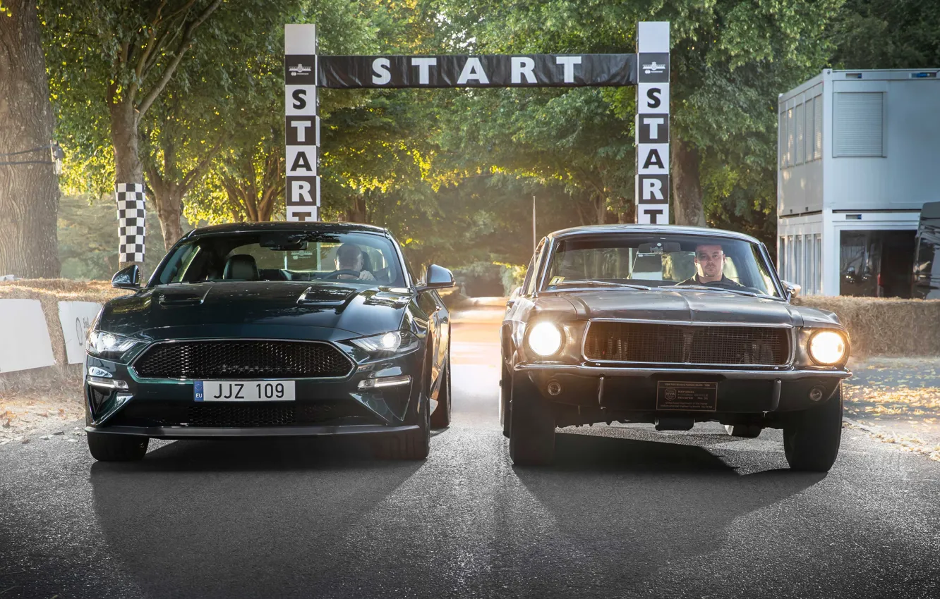 Photo wallpaper Mustang, Ford, Fastback, 2018, 1968, Mustang GT, Bullitt, Goodwood