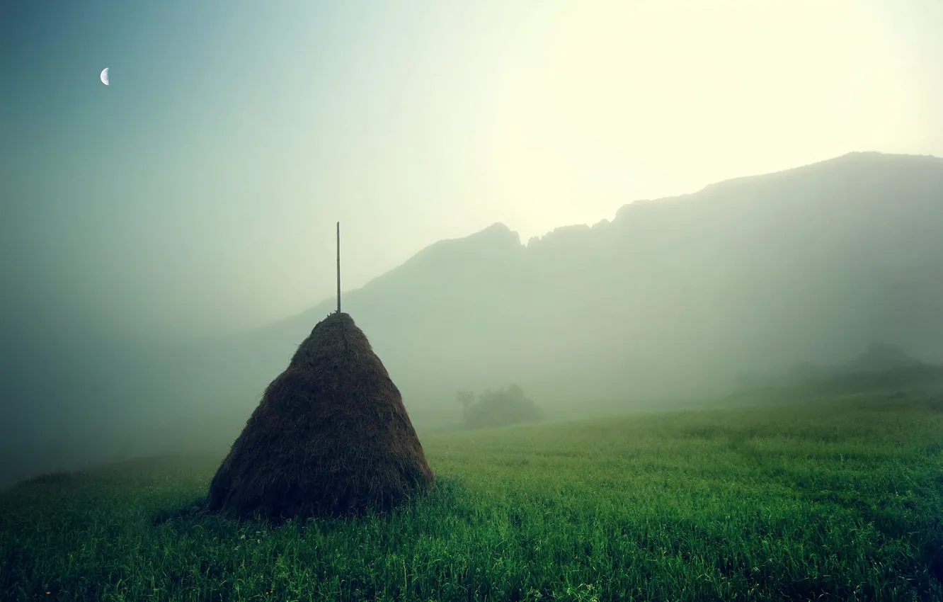 Photo wallpaper field, the sky, grass, mountains, fog, dawn, the moon, morning