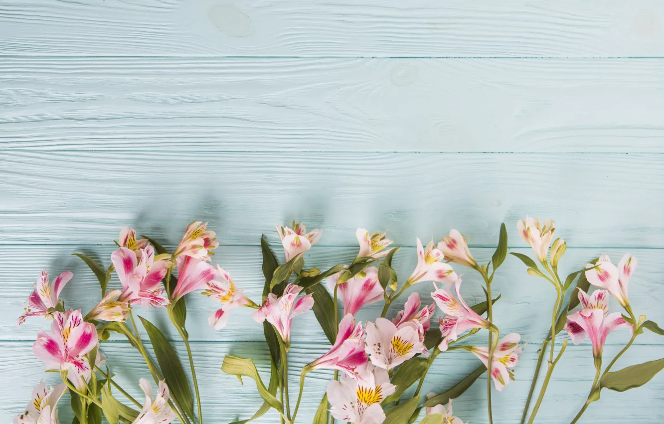 Photo wallpaper flowers, colorful, wood, pink, flowers, beautiful, spring, lily