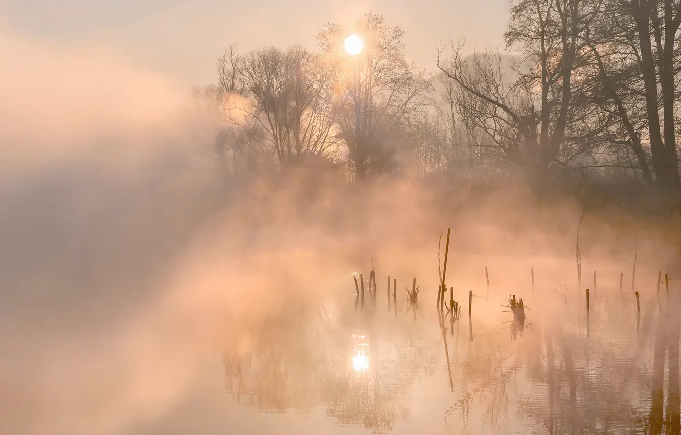 Photo wallpaper fog, lake, morning