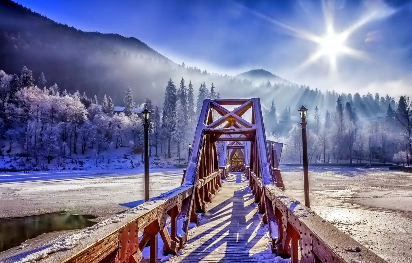 Photo wallpaper winter, forest, the sky, snow, bridge, nature