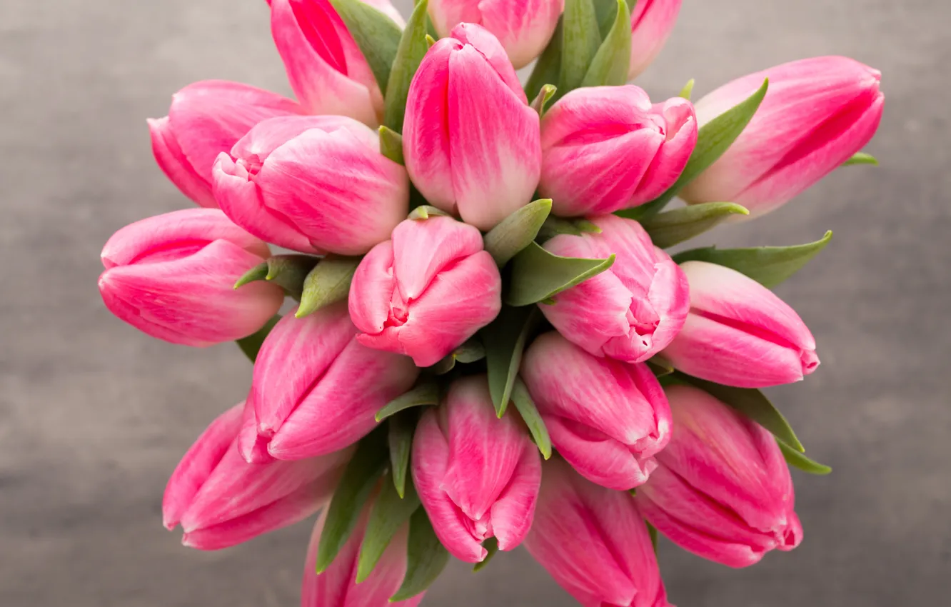 Photo wallpaper flowers, bouquet, tulips, fresh, pink, flowers, beautiful, tulips