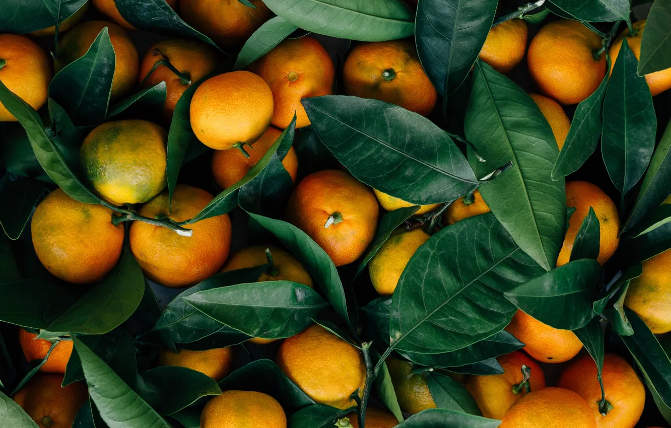 Photo wallpaper Leaves, Mandarin, Fruits, Food, Oranges, Citrus, Mandarin oranges