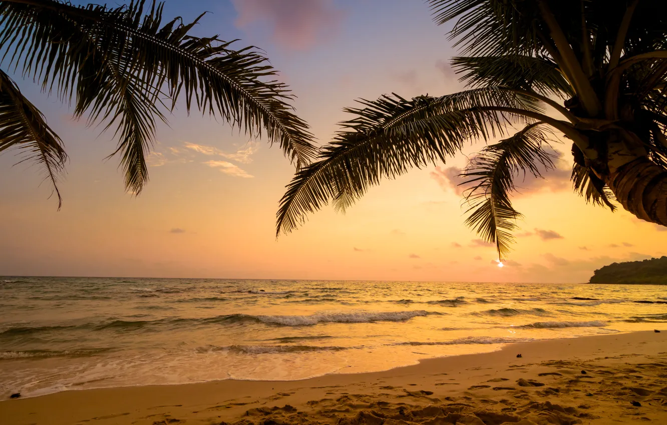 Photo wallpaper sand, sea, wave, beach, summer, sunset, palm trees, shore