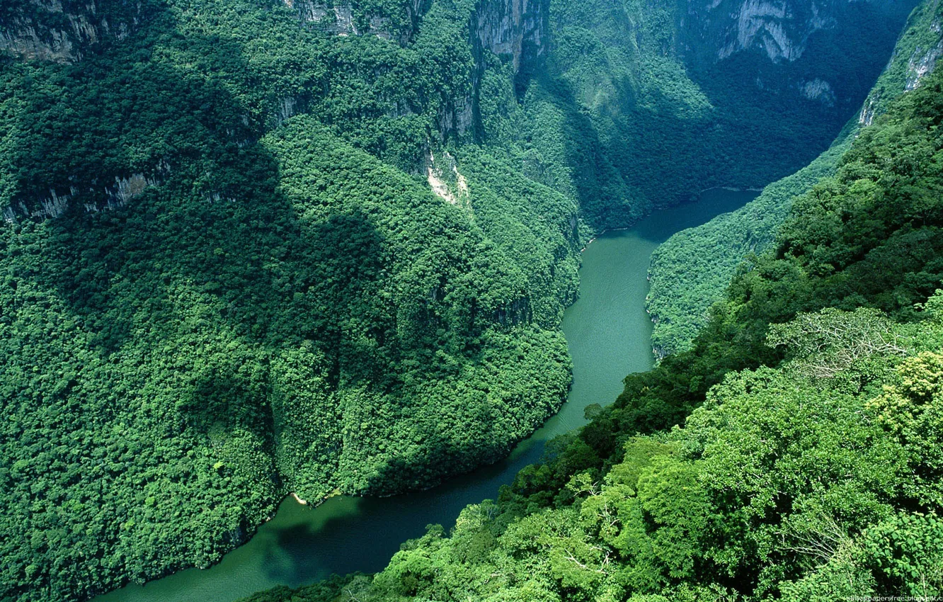 Photo wallpaper trees, mountains, river, Mexico, beautiful
