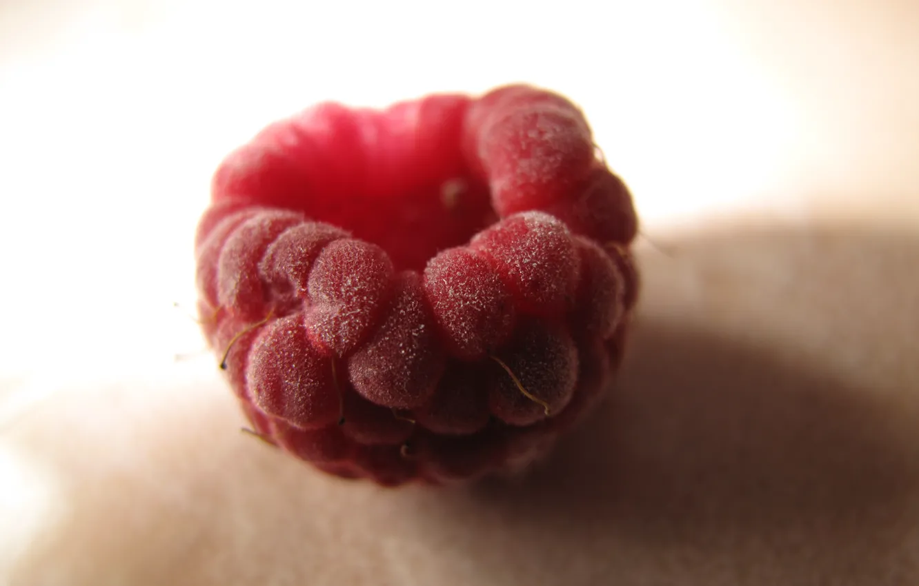 Photo wallpaper raspberry, close-up, berries, raspberries