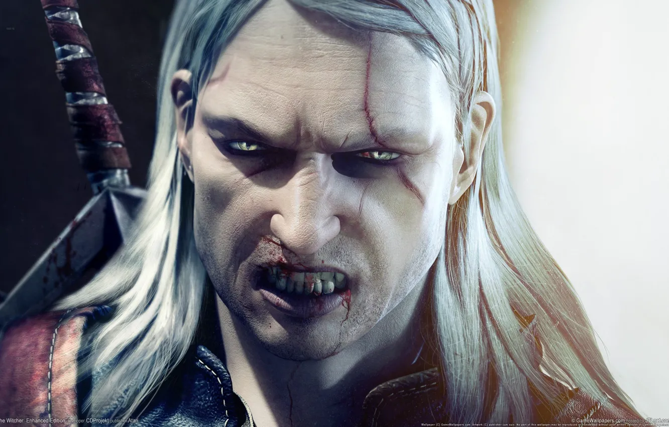 Photo wallpaper game, The Witcher, Witcher, Enhanced Edition