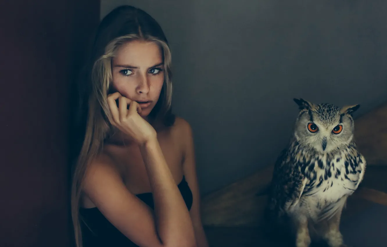 Photo wallpaper girl, background, owl