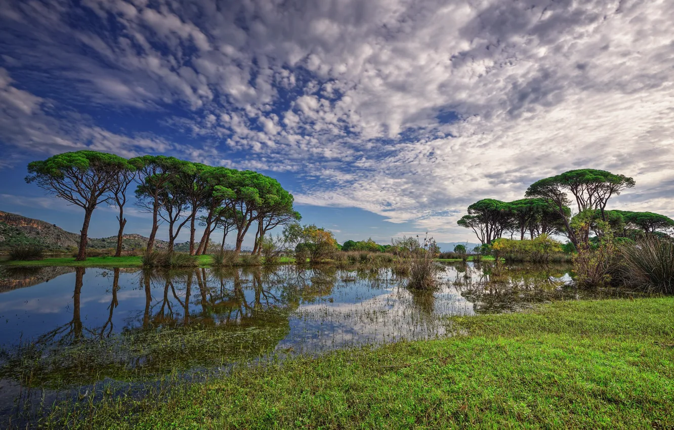 Photo wallpaper the sky, clouds, trees, Greece, Kalogria