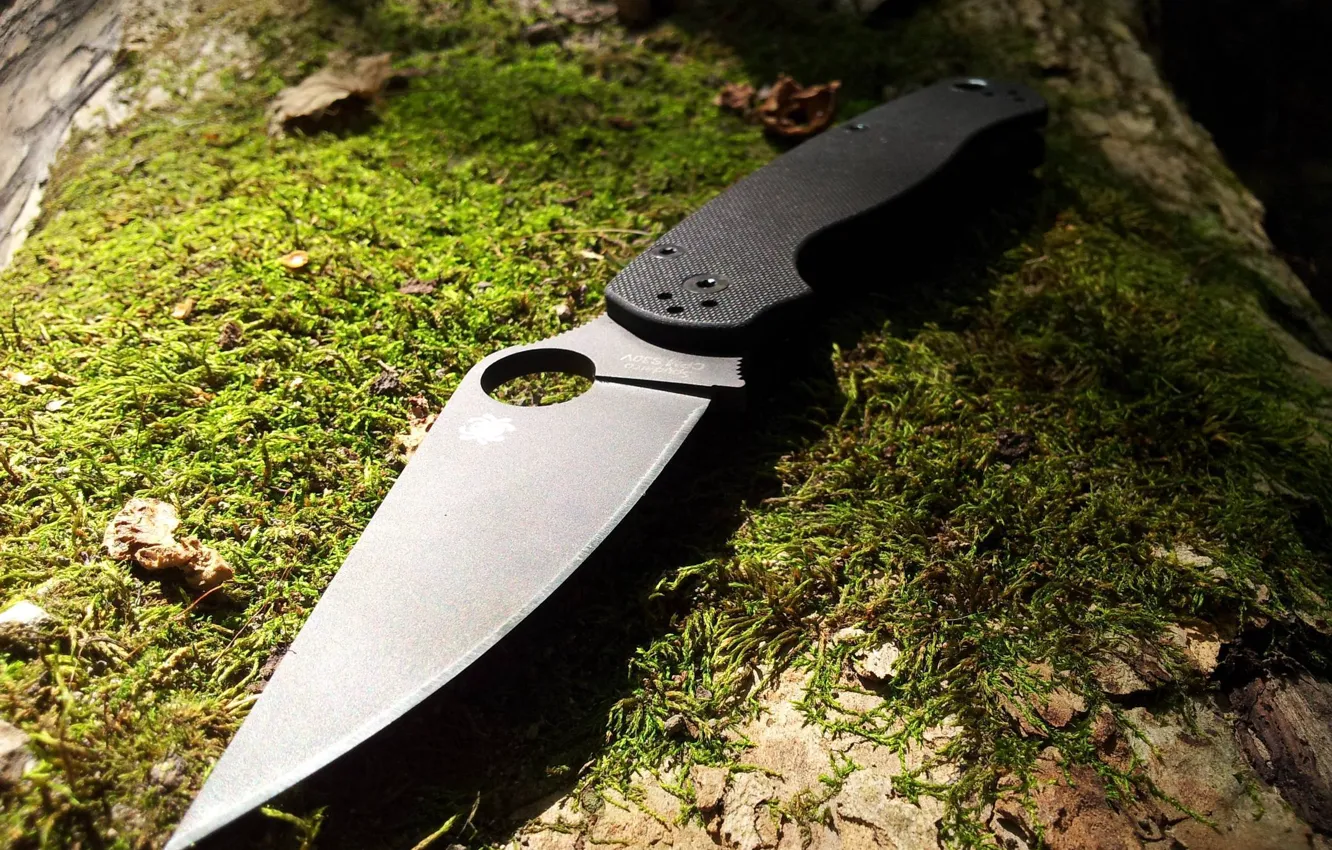 Photo wallpaper forest, trees, moss, knife, Spyderco. Paramilitary 2