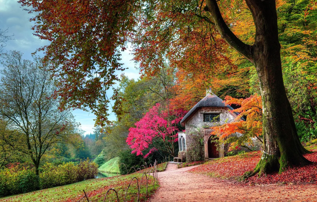 Photo wallpaper autumn, forest, the sky, trees, branches, Park, foliage, the fence